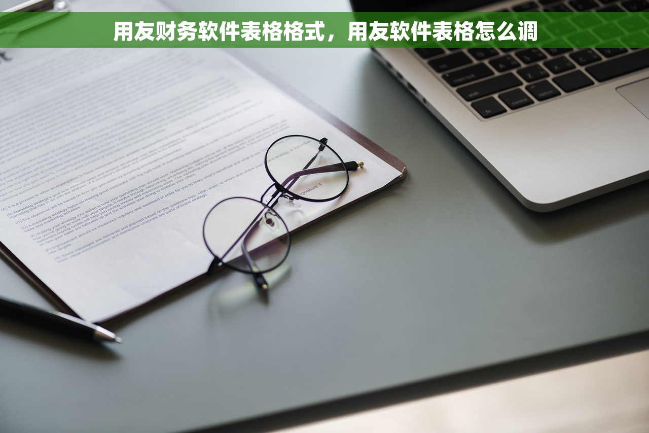 用友财务软件表格格式，用友软件表格怎么调