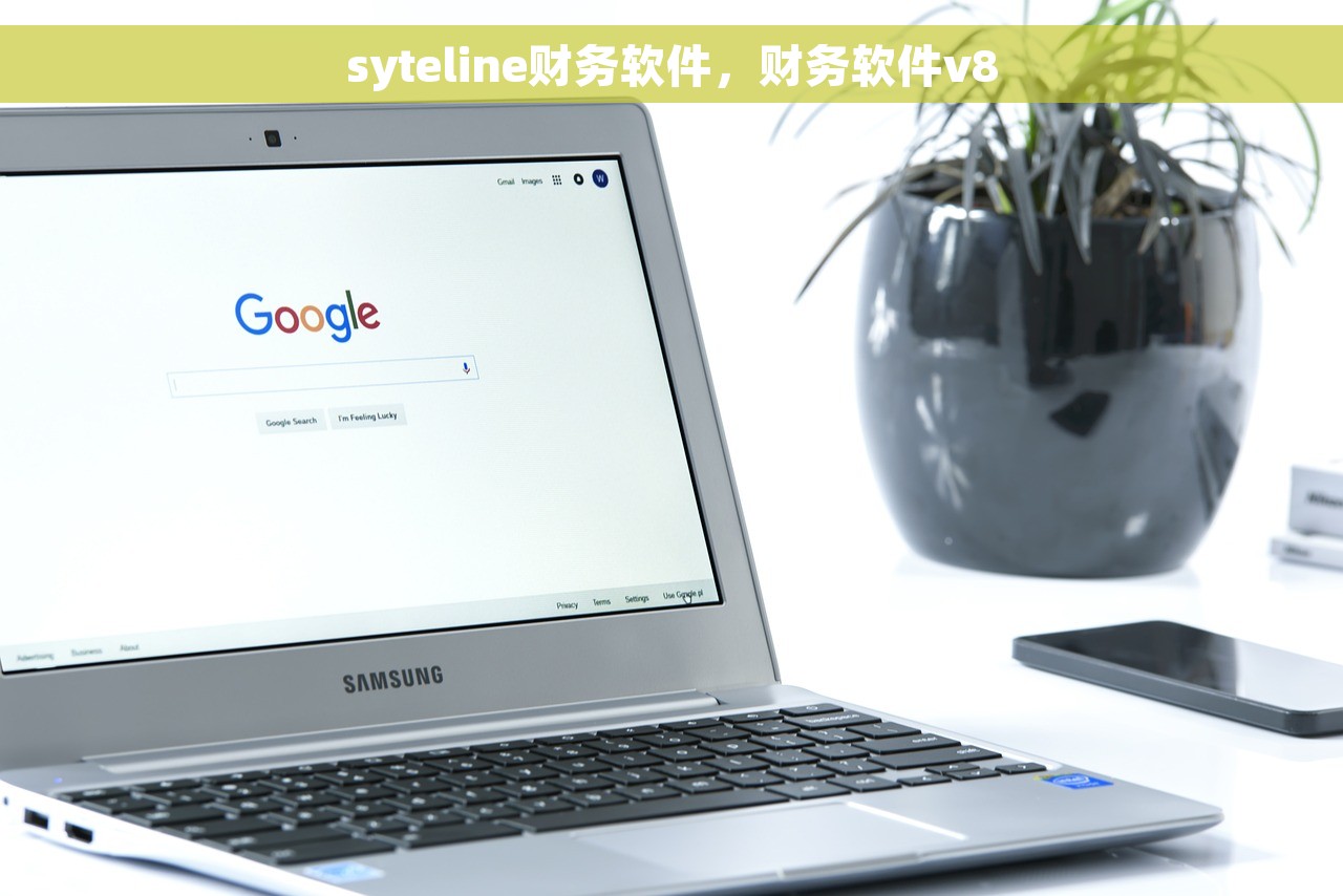 syteline财务软件，财务软件v8