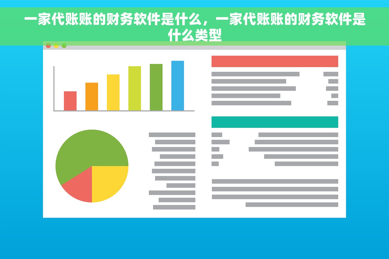 一家代账账的财务软件是什么，一家代账账的财务软件是什么类型