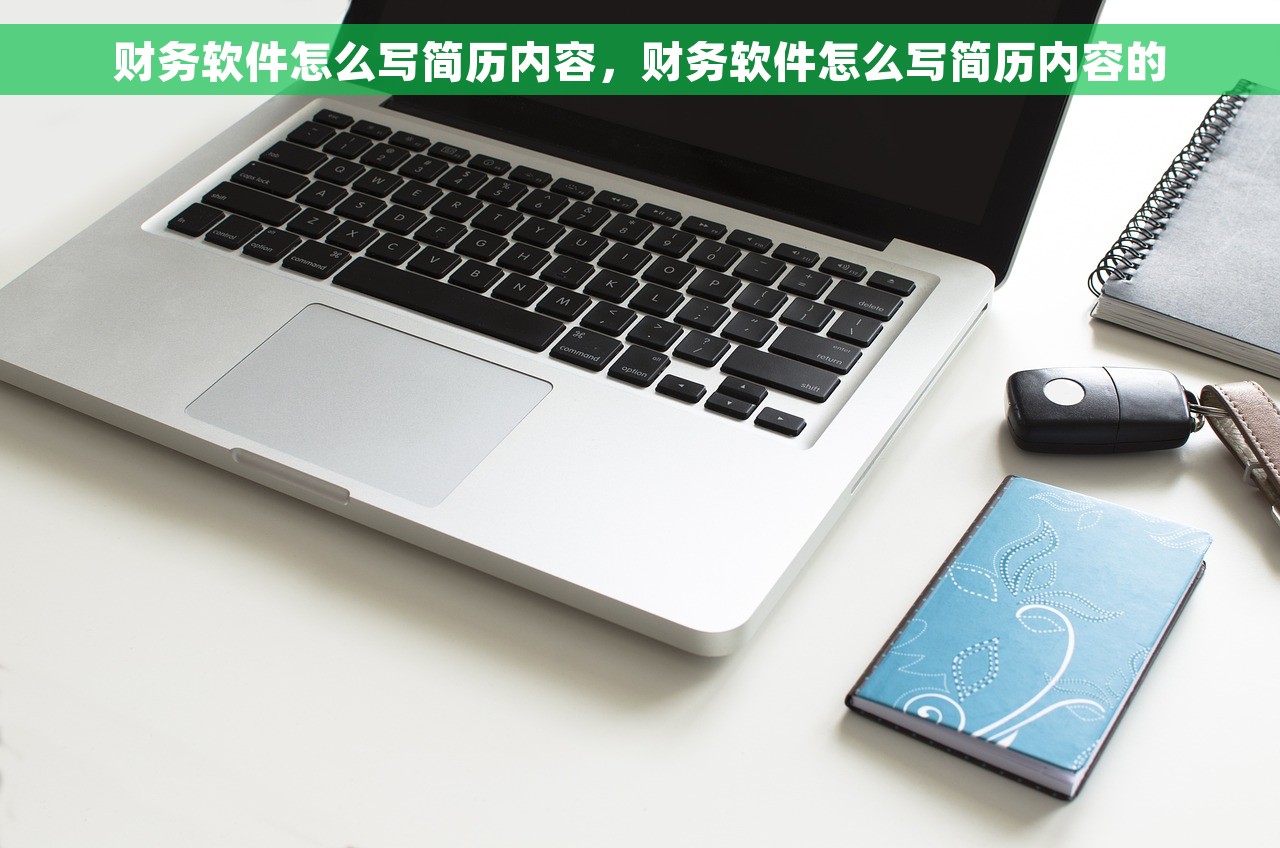财务软件怎么写简历内容，财务软件怎么写简历内容的