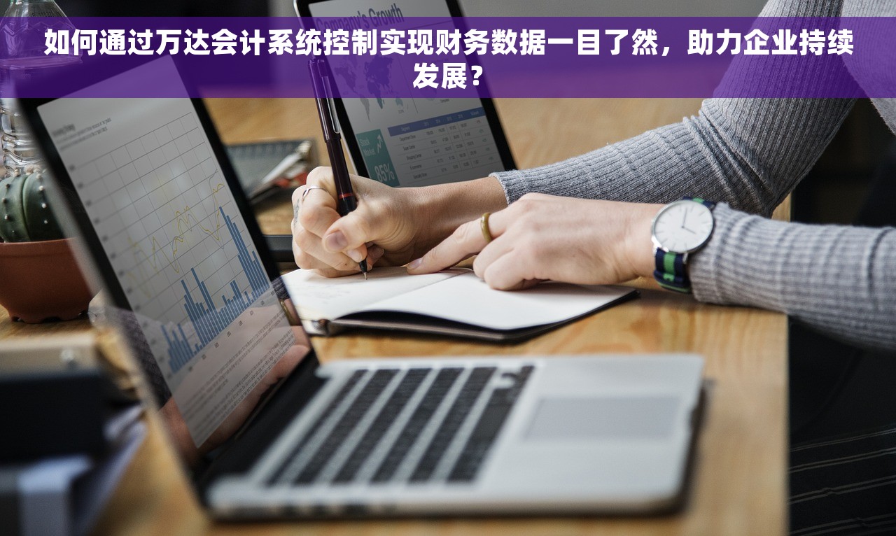 如何通过万达会计系统控制实现财务数据一目了然，助力企业持续发展？
