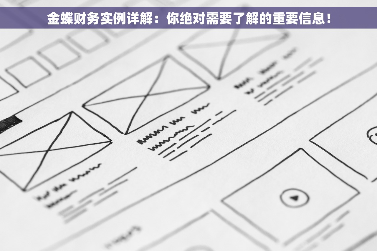 金蝶财务实例详解：你绝对需要了解的重要信息！