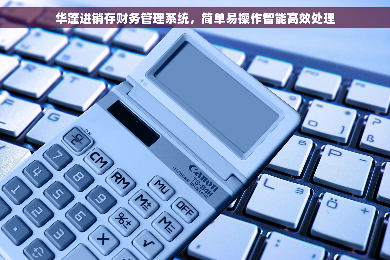 华蓬进销存财务管理系统，简单易操作智能高效处理