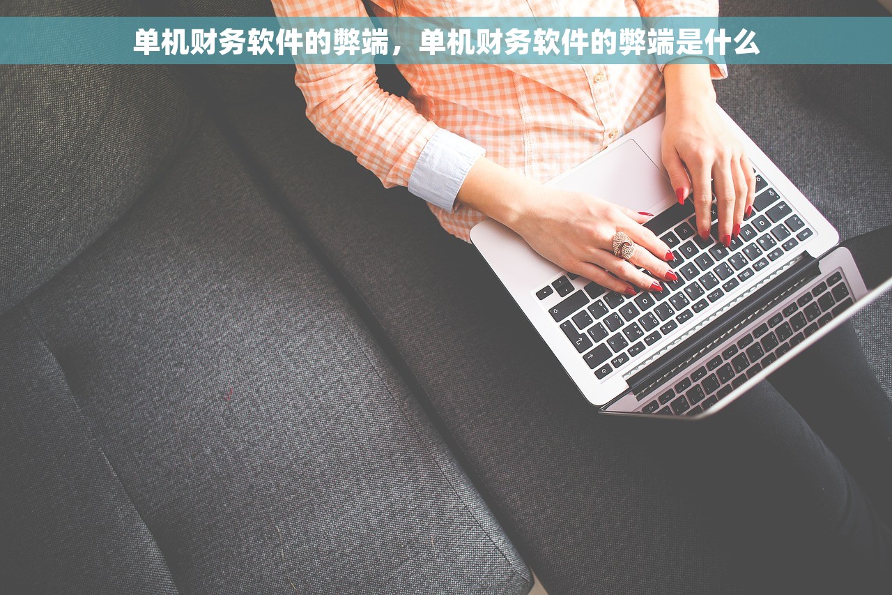 单机财务软件的弊端，单机财务软件的弊端是什么