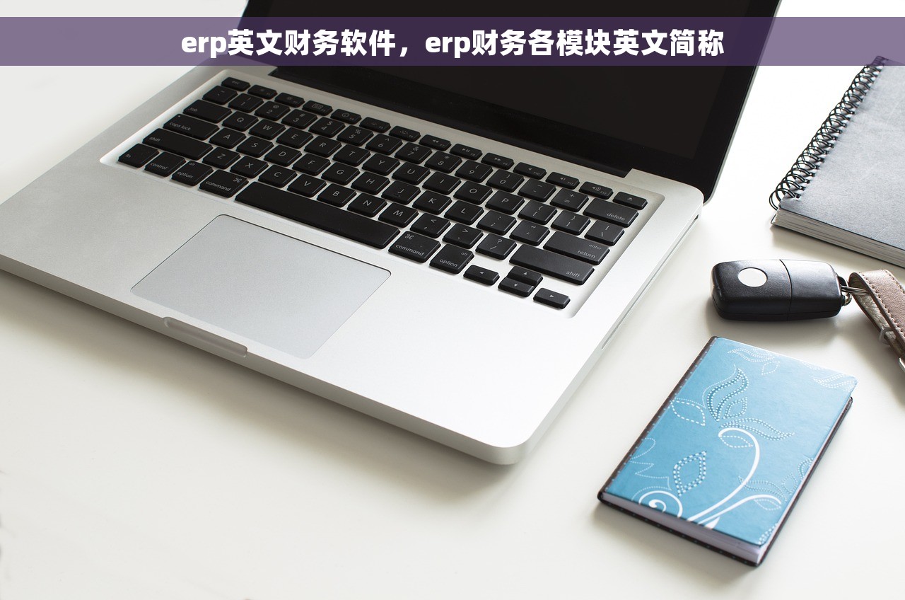 erp英文财务软件，erp财务各模块英文简称