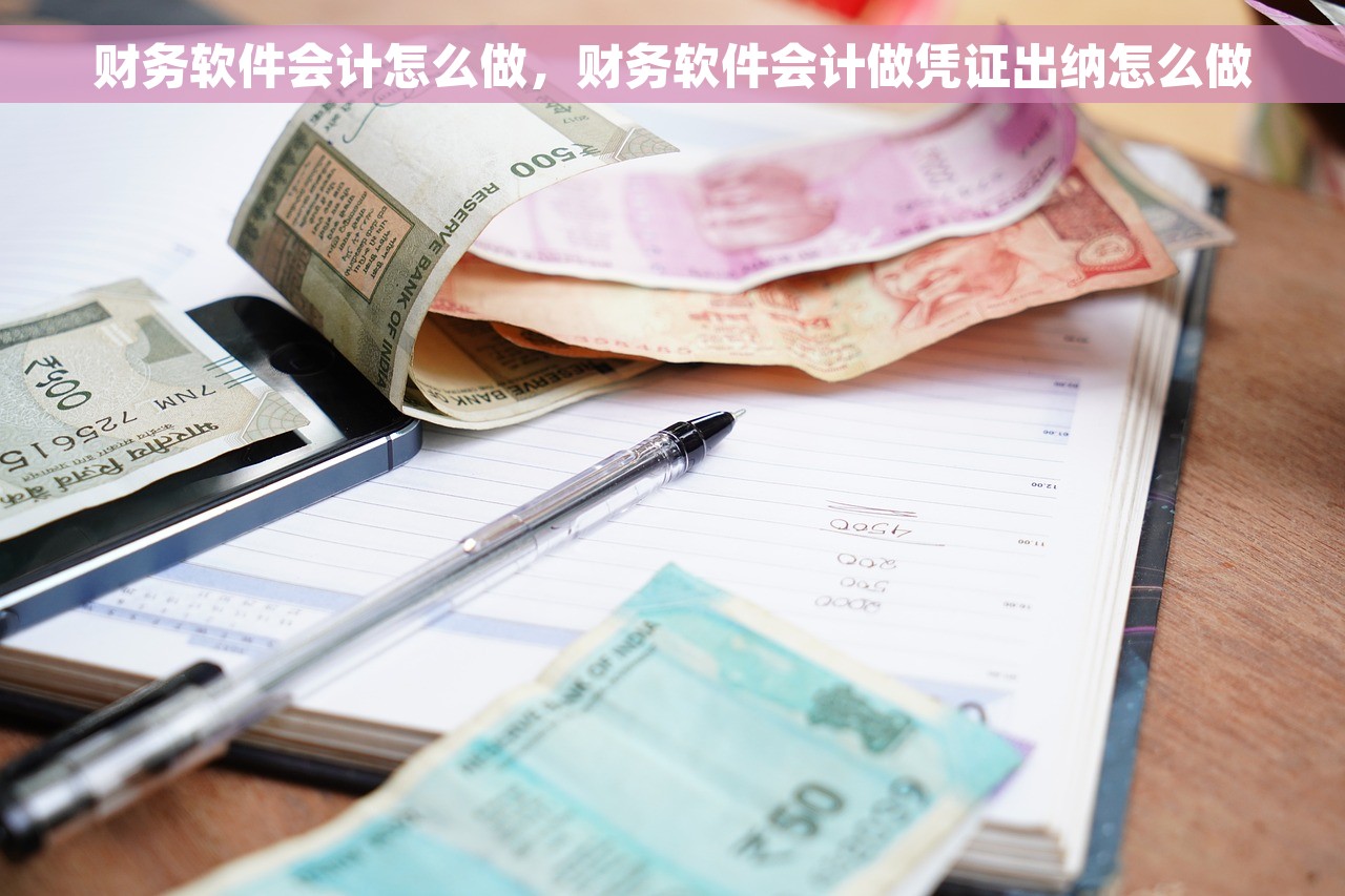 财务软件会计怎么做，财务软件会计做凭证出纳怎么做