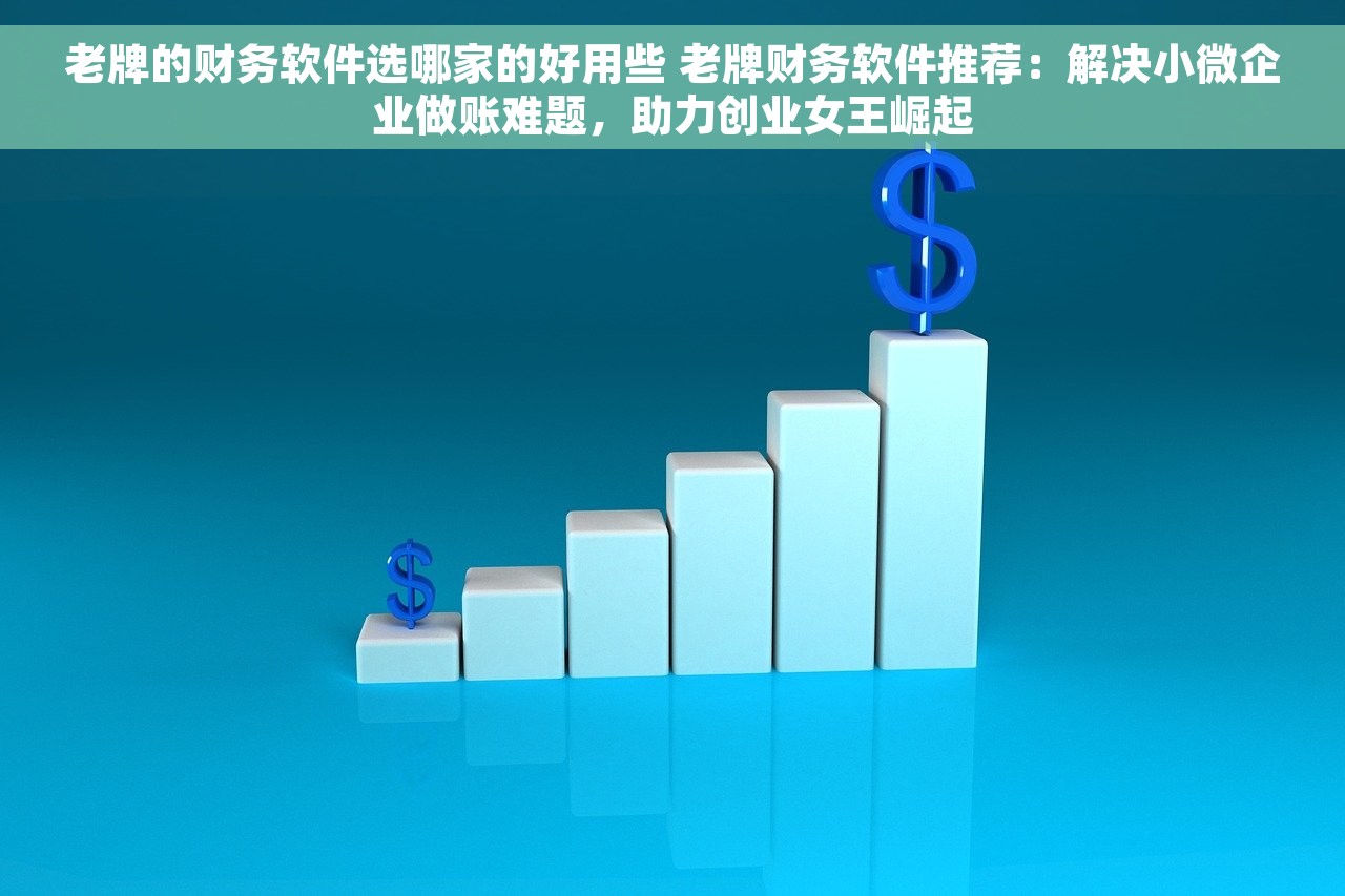 老牌的财务软件选哪家的好用些 老牌财务软件推荐：解决小微企业做账难题，助力创业女王崛起