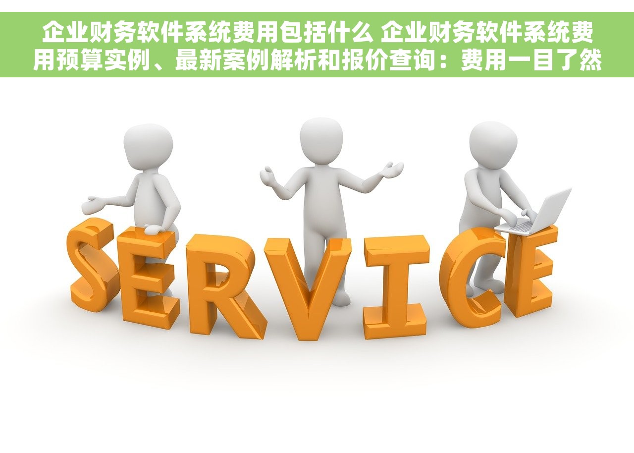 企业财务软件系统费用包括什么 企业财务软件系统费用预算实例、最新案例解析和报价查询：费用一目了然