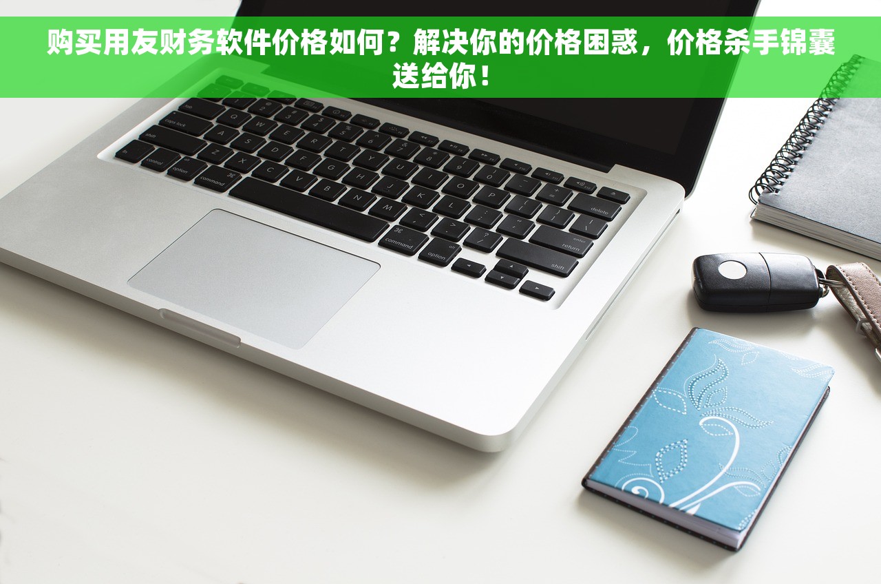 购买用友财务软件价格如何？解决你的价格困惑，价格杀手锦囊送给你！