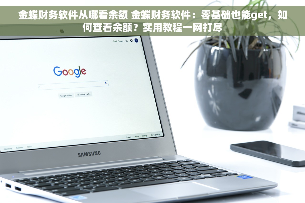 金蝶财务软件从哪看余额 金蝶财务软件：零基础也能get，如何查看余额？实用教程一网打尽