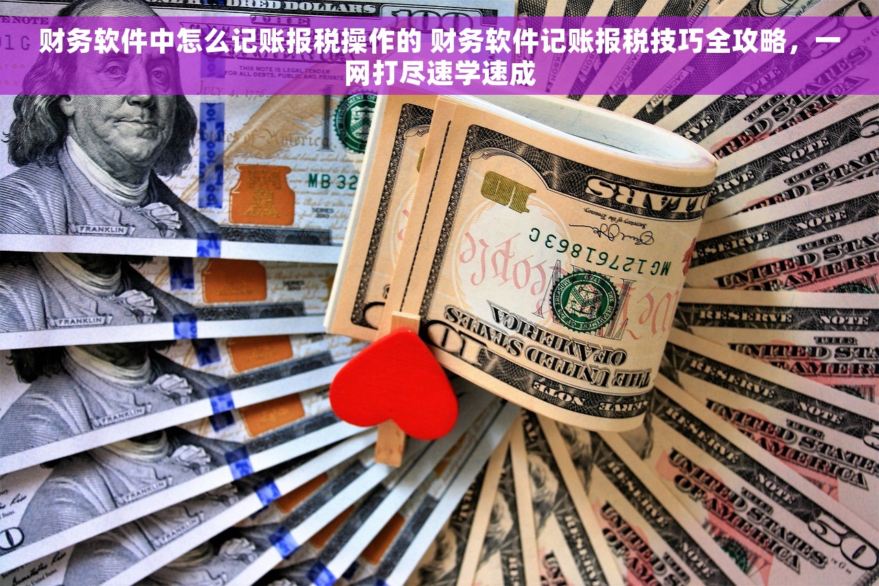 财务软件中怎么记账报税操作的 财务软件记账报税技巧全攻略，一网打尽速学速成