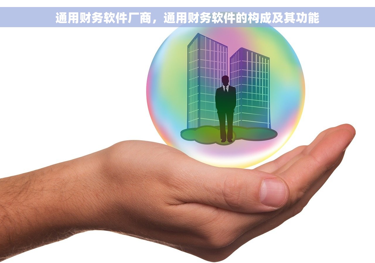 通用财务软件厂商，通用财务软件的构成及其功能