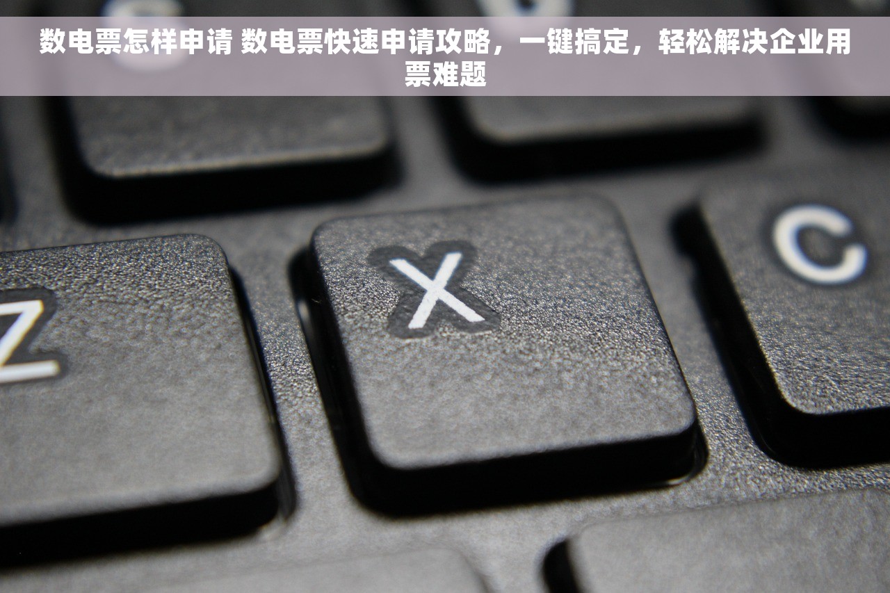 数电票怎样申请 数电票快速申请攻略，一键搞定，轻松解决企业用票难题
