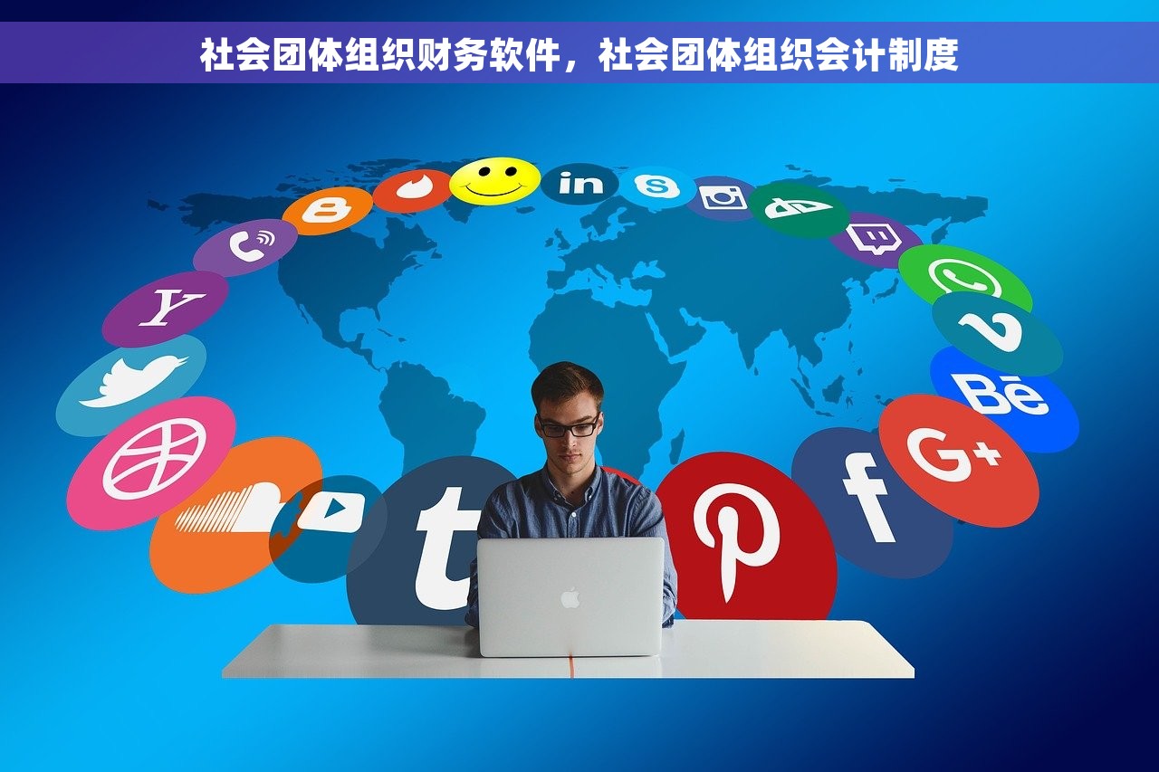 社会团体组织财务软件，社会团体组织会计制度