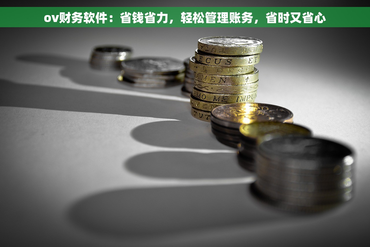 ov财务软件：省钱省力，轻松管理账务，省时又省心