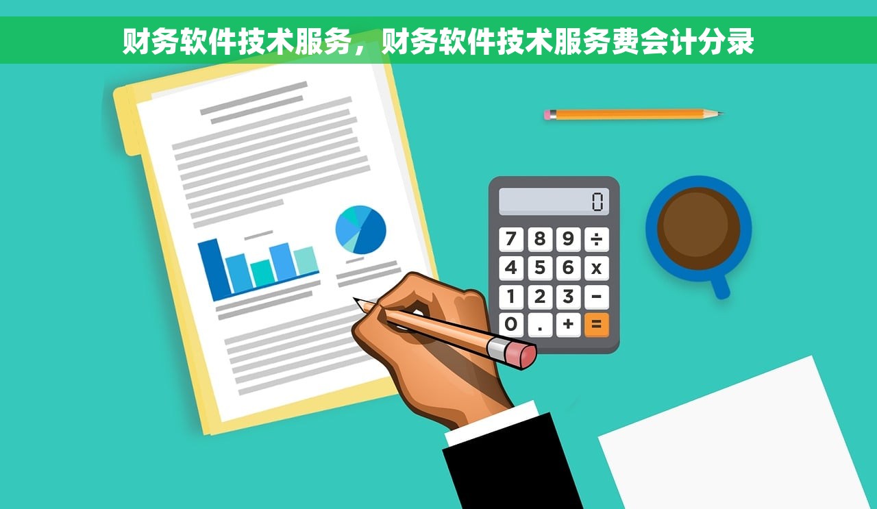 财务软件技术服务，财务软件技术服务费会计分录