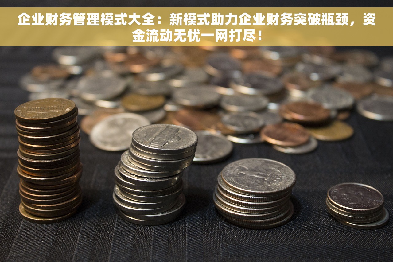 企业财务管理模式大全：新模式助力企业财务突破瓶颈，资金流动无忧一网打尽！