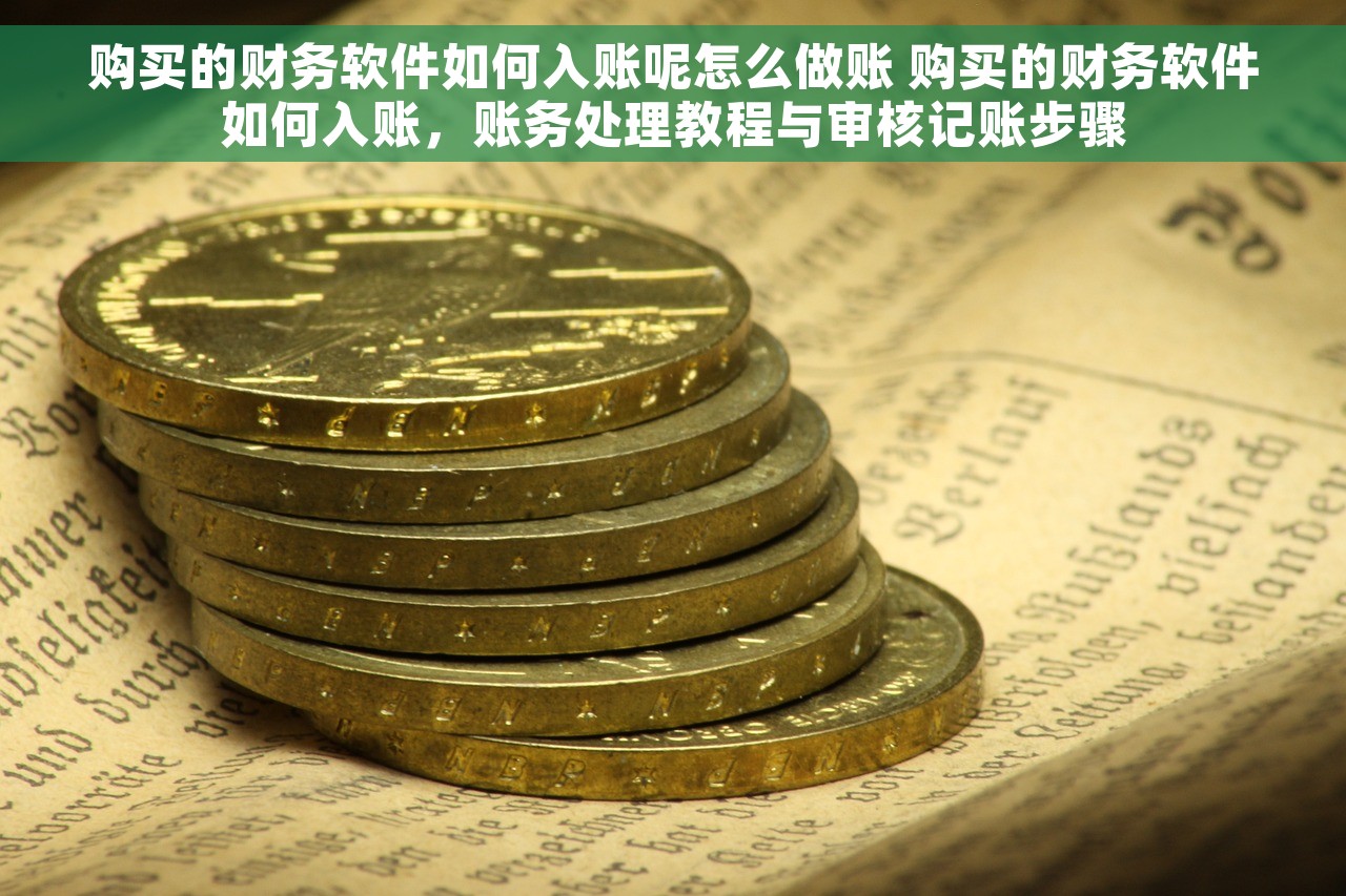 购买的财务软件如何入账呢怎么做账 购买的财务软件如何入账，账务处理教程与审核记账步骤