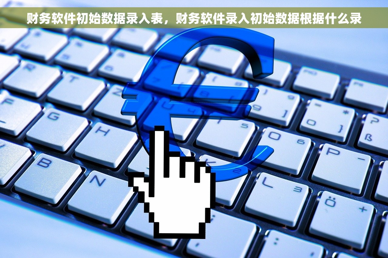 财务软件初始数据录入表，财务软件录入初始数据根据什么录
