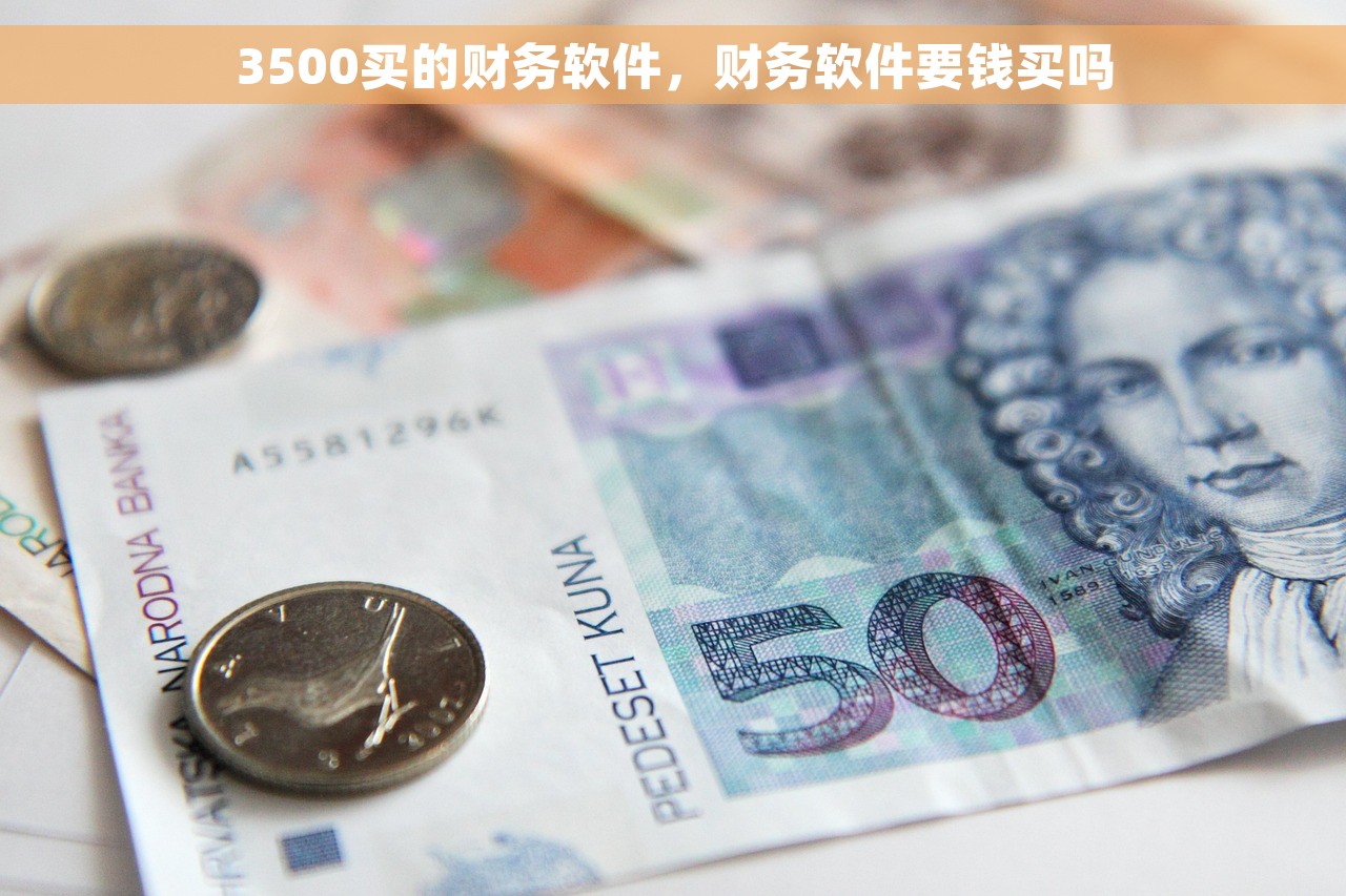3500买的财务软件，财务软件要钱买吗