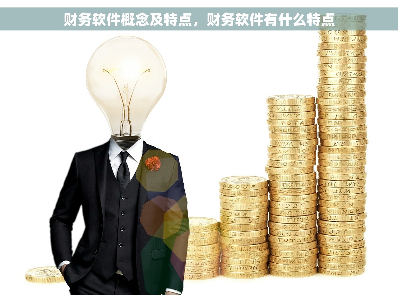 财务软件概念及特点，财务软件有什么特点
