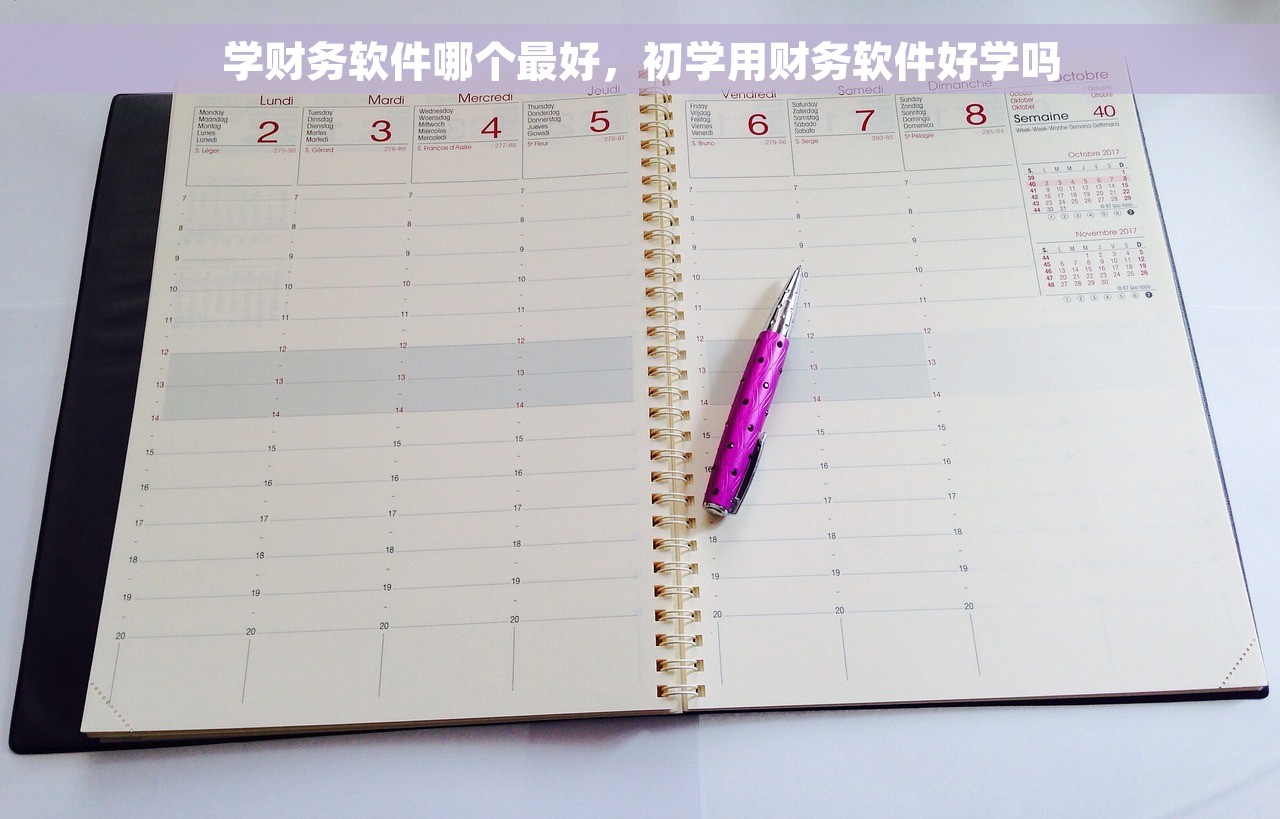 学财务软件哪个最好，初学用财务软件好学吗