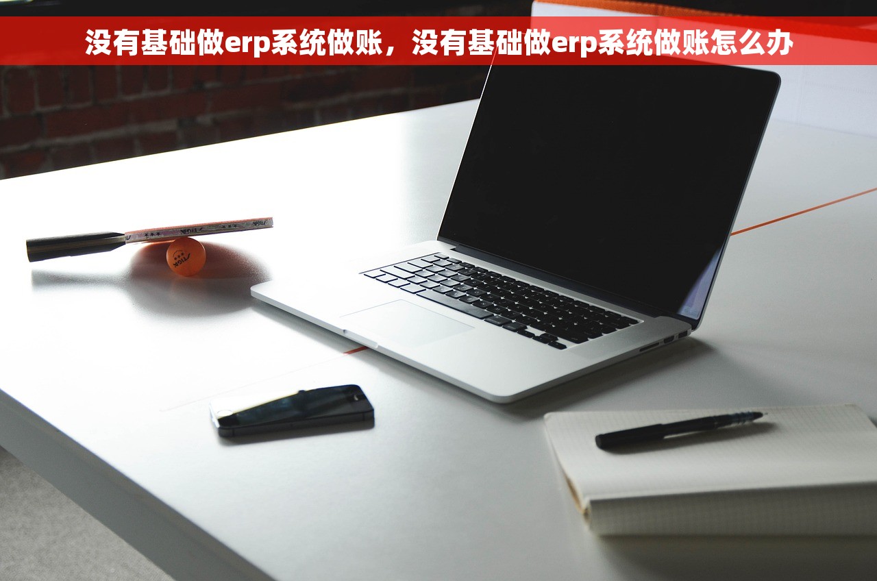 没有基础做erp系统做账，没有基础做erp系统做账怎么办