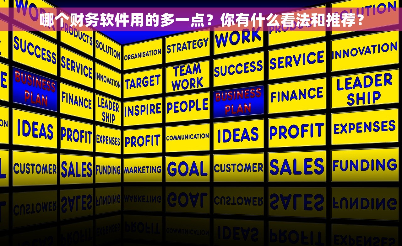 哪个财务软件用的多一点？你有什么看法和推荐？