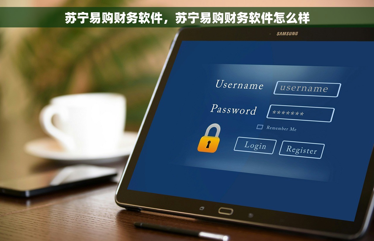 苏宁易购财务软件，苏宁易购财务软件怎么样
