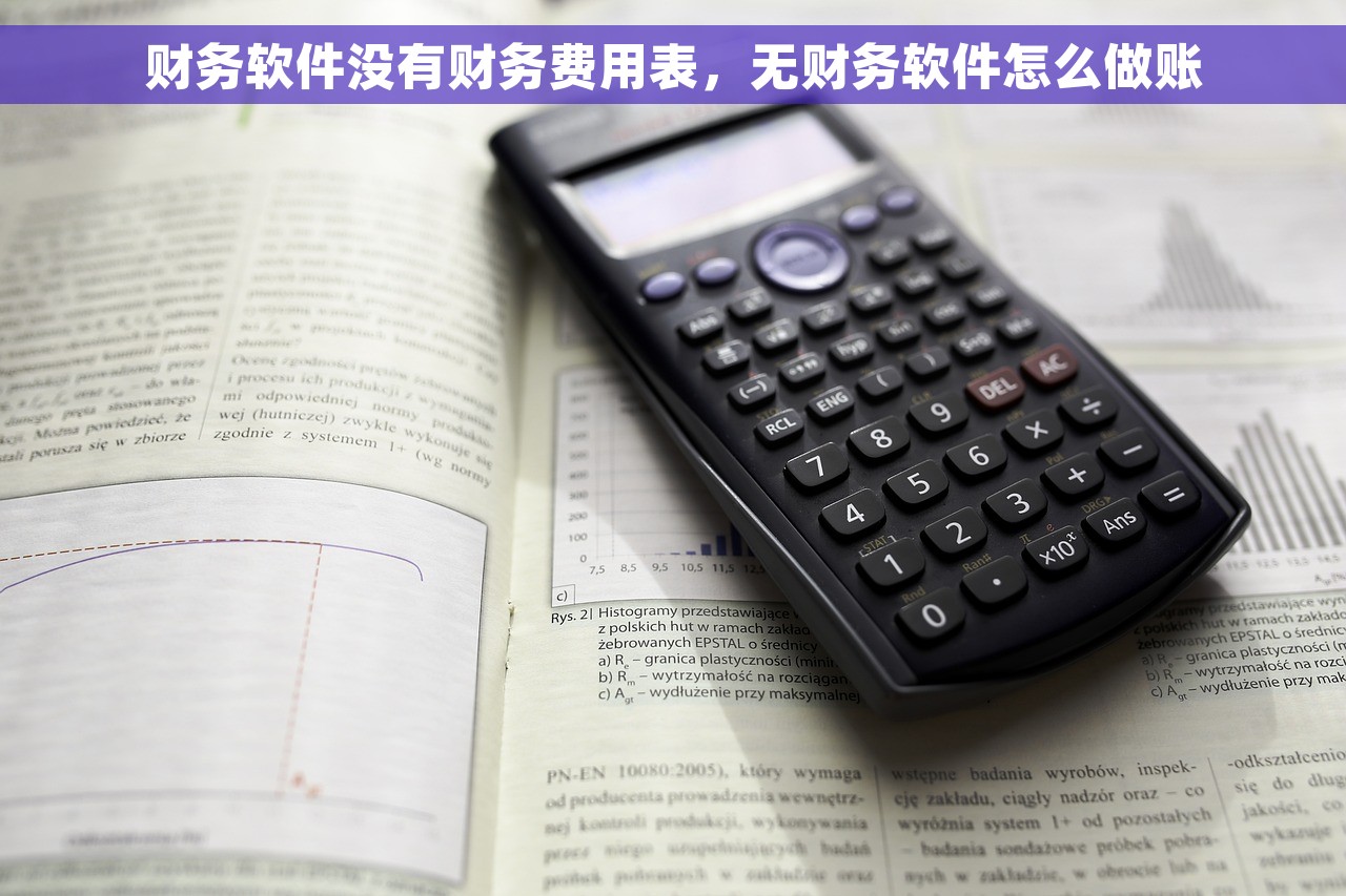 财务软件没有财务费用表，无财务软件怎么做账