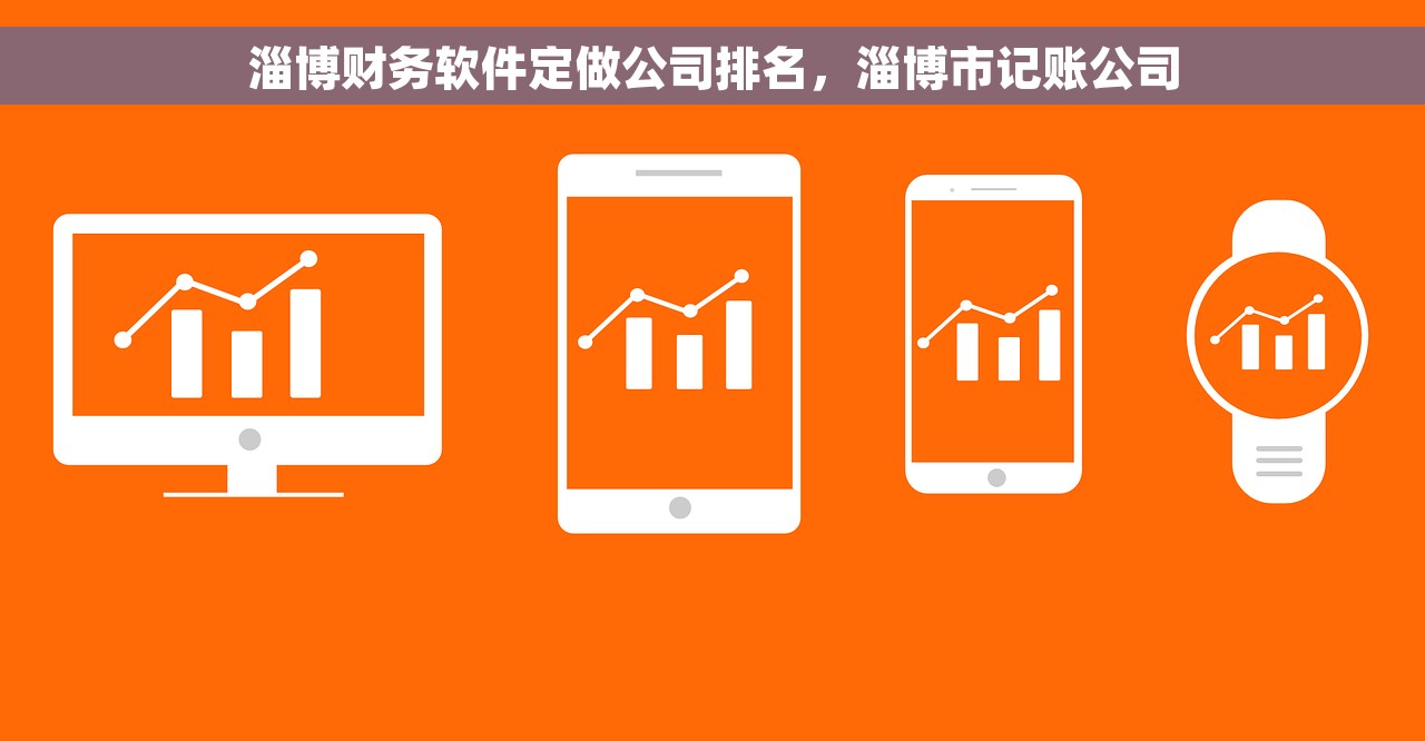 淄博财务软件定做公司排名，淄博市记账公司