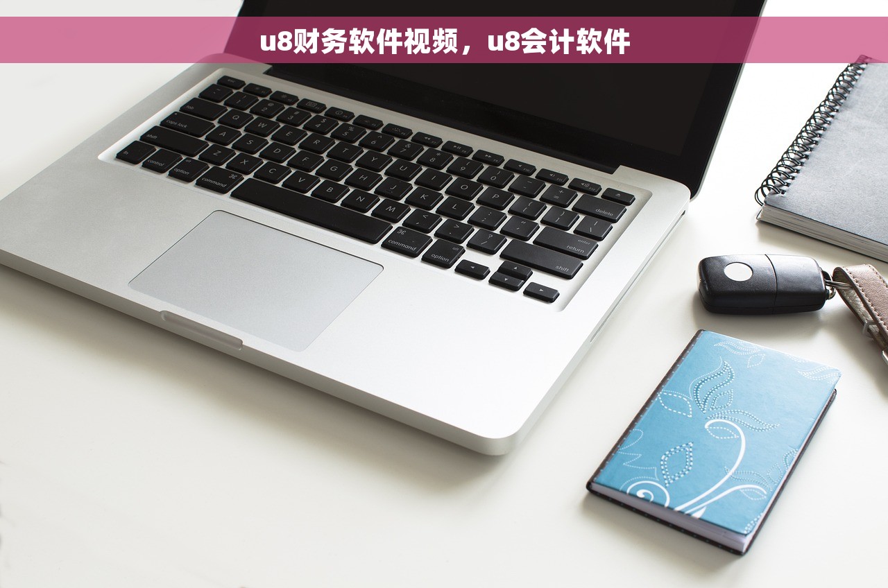 u8财务软件视频，u8会计软件