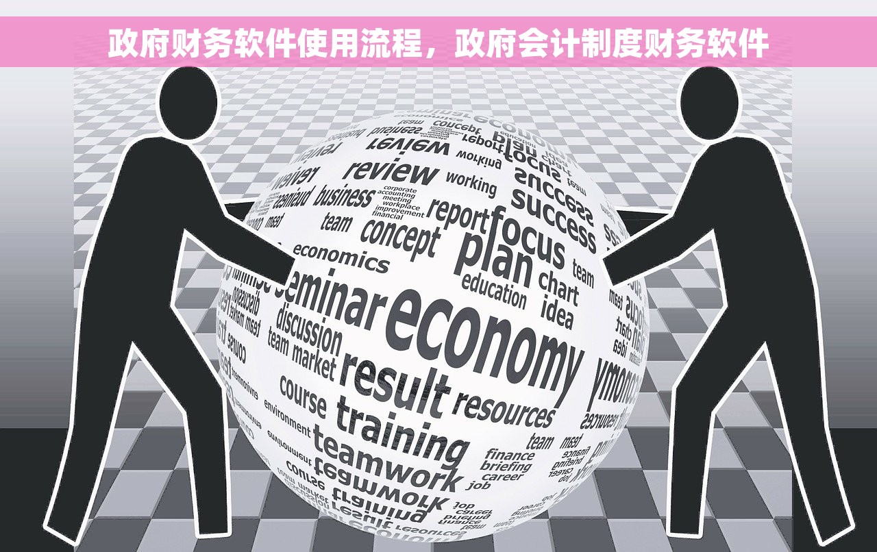 政府财务软件使用流程，政府会计制度财务软件