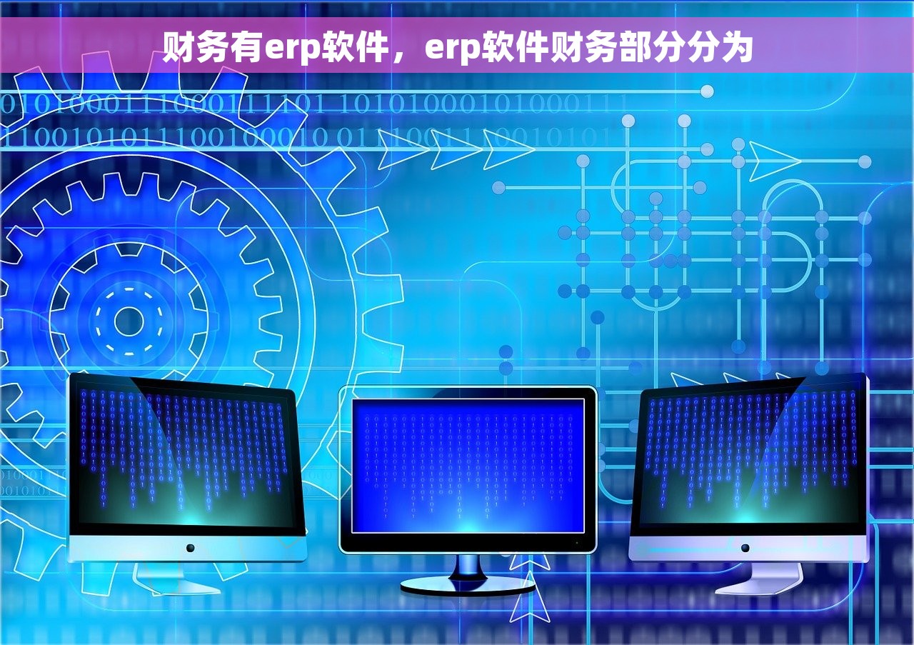 财务有erp软件，erp软件财务部分分为