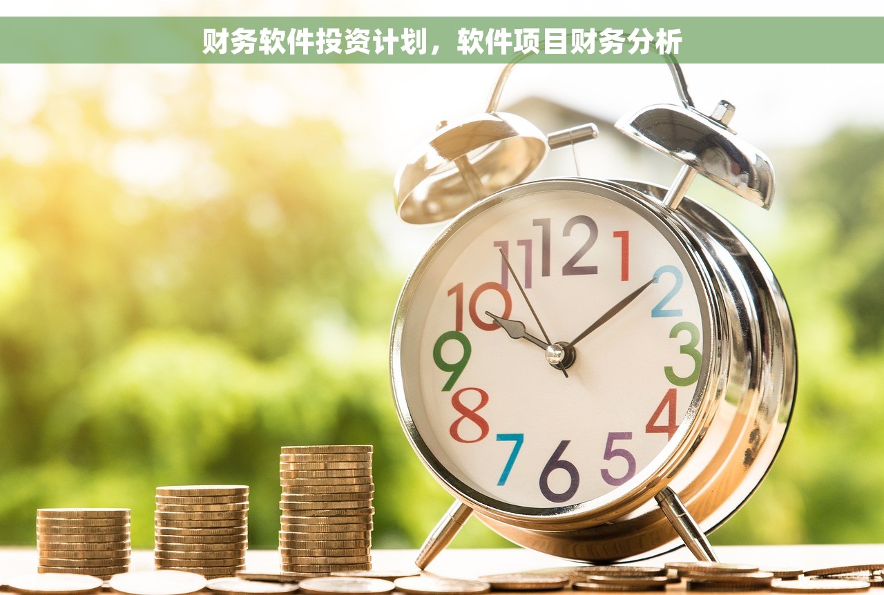 财务软件投资计划，软件项目财务分析