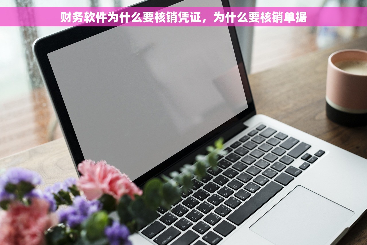 财务软件为什么要核销凭证，为什么要核销单据