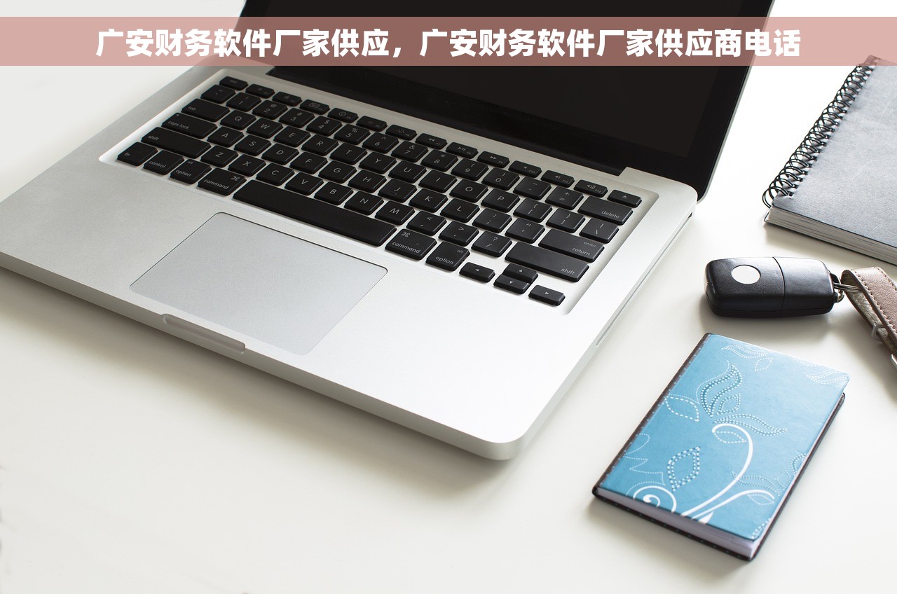 广安财务软件厂家供应，广安财务软件厂家供应商电话
