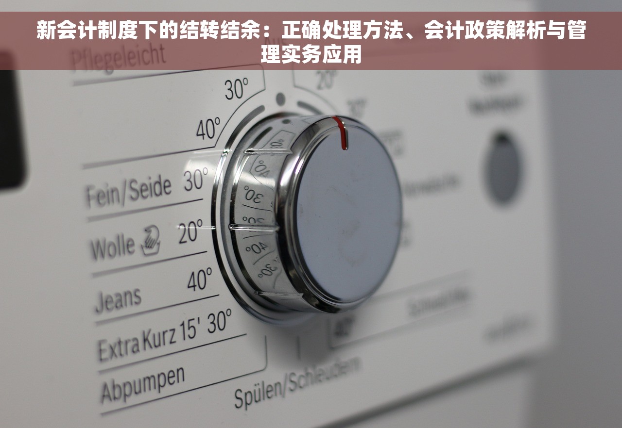 新会计制度下的结转结余：正确处理方法、会计政策解析与管理实务应用