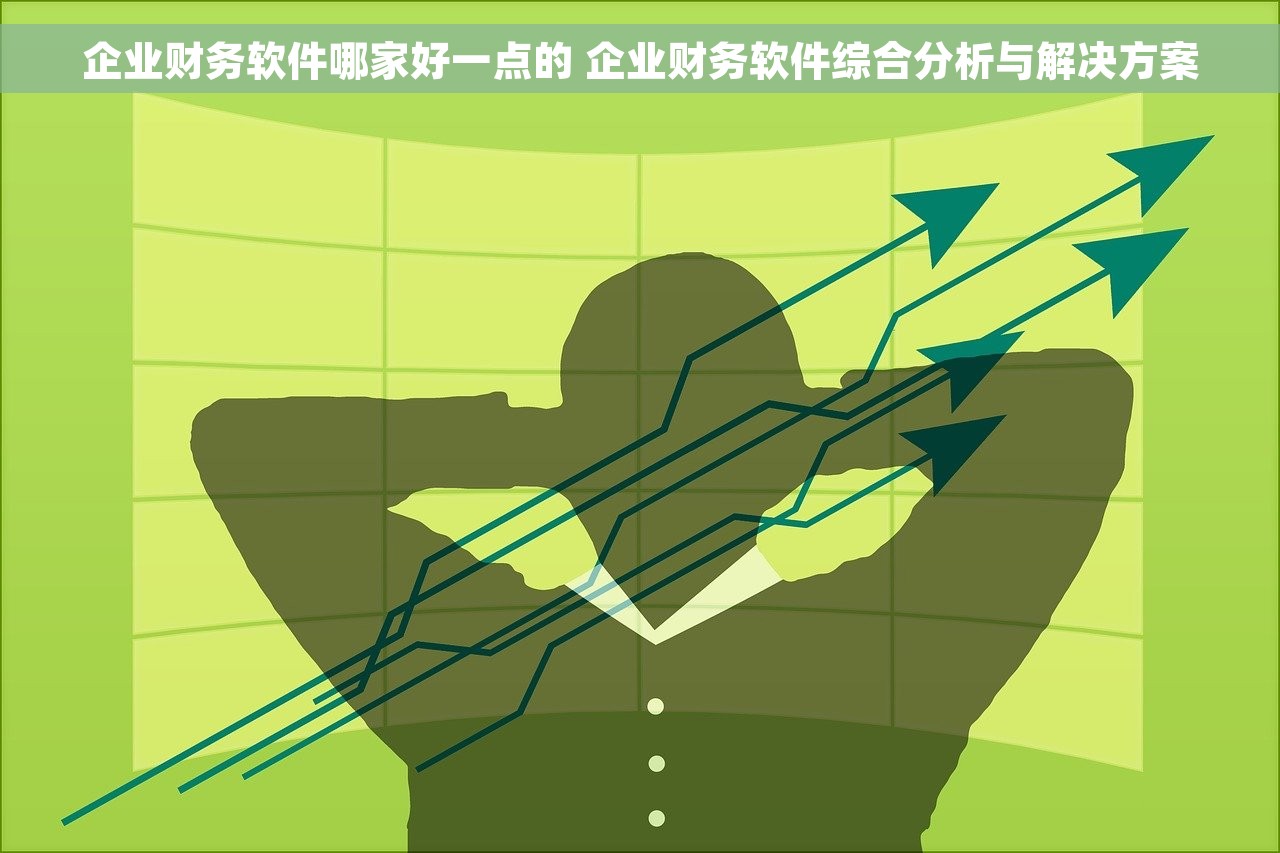 企业财务软件哪家好一点的 企业财务软件综合分析与解决方案