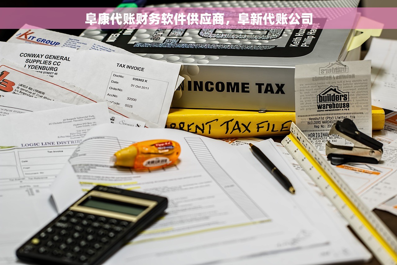 阜康代账财务软件供应商，阜新代账公司