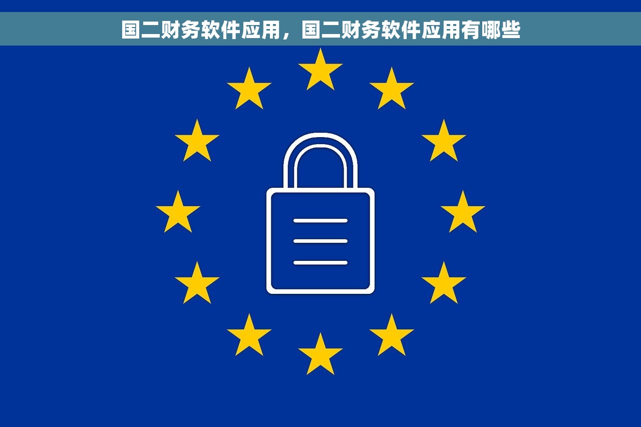国二财务软件应用，国二财务软件应用有哪些