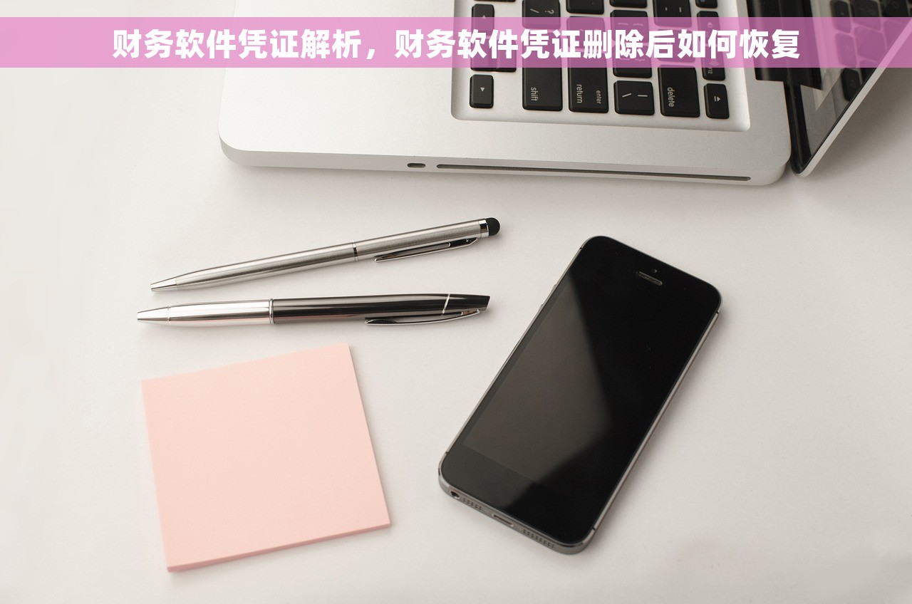 财务软件凭证解析，财务软件凭证删除后如何恢复