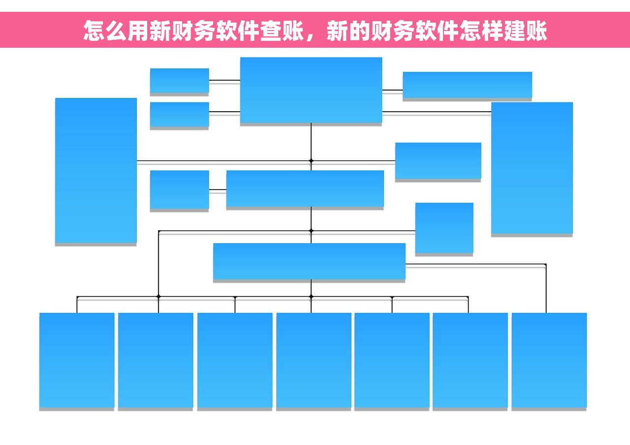 怎么用新财务软件查账，新的财务软件怎样建账