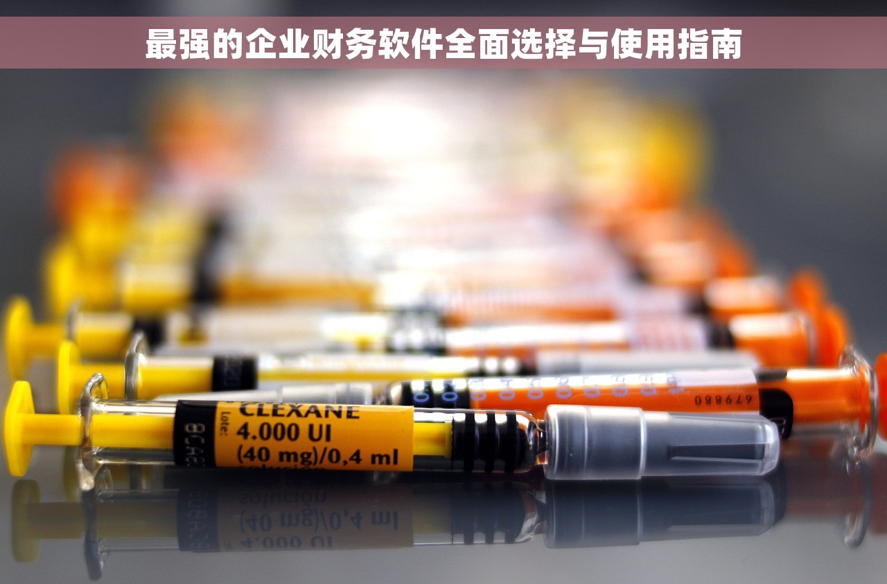 最强的企业财务软件全面选择与使用指南