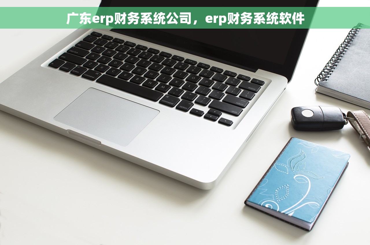 广东erp财务系统公司，erp财务系统软件