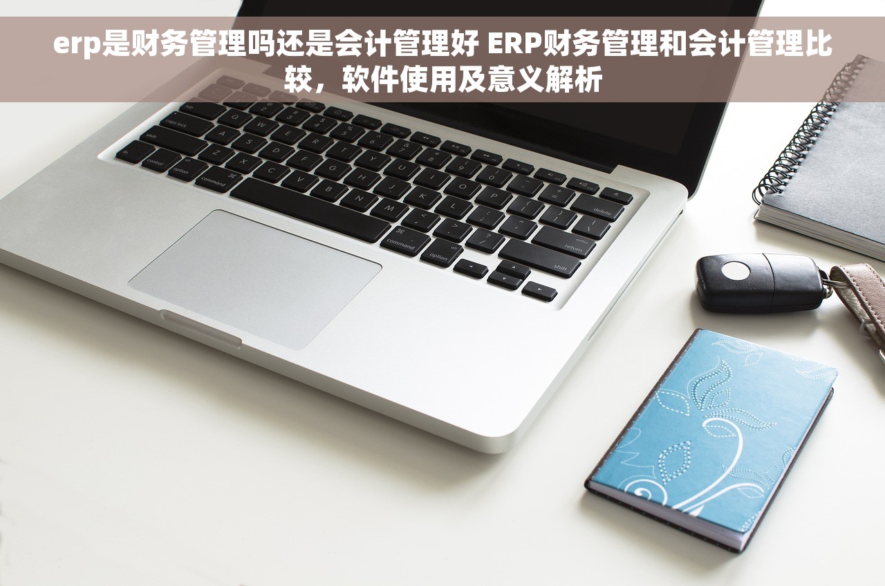 erp是财务管理吗还是会计管理好 ERP财务管理和会计管理比较，软件使用及意义解析