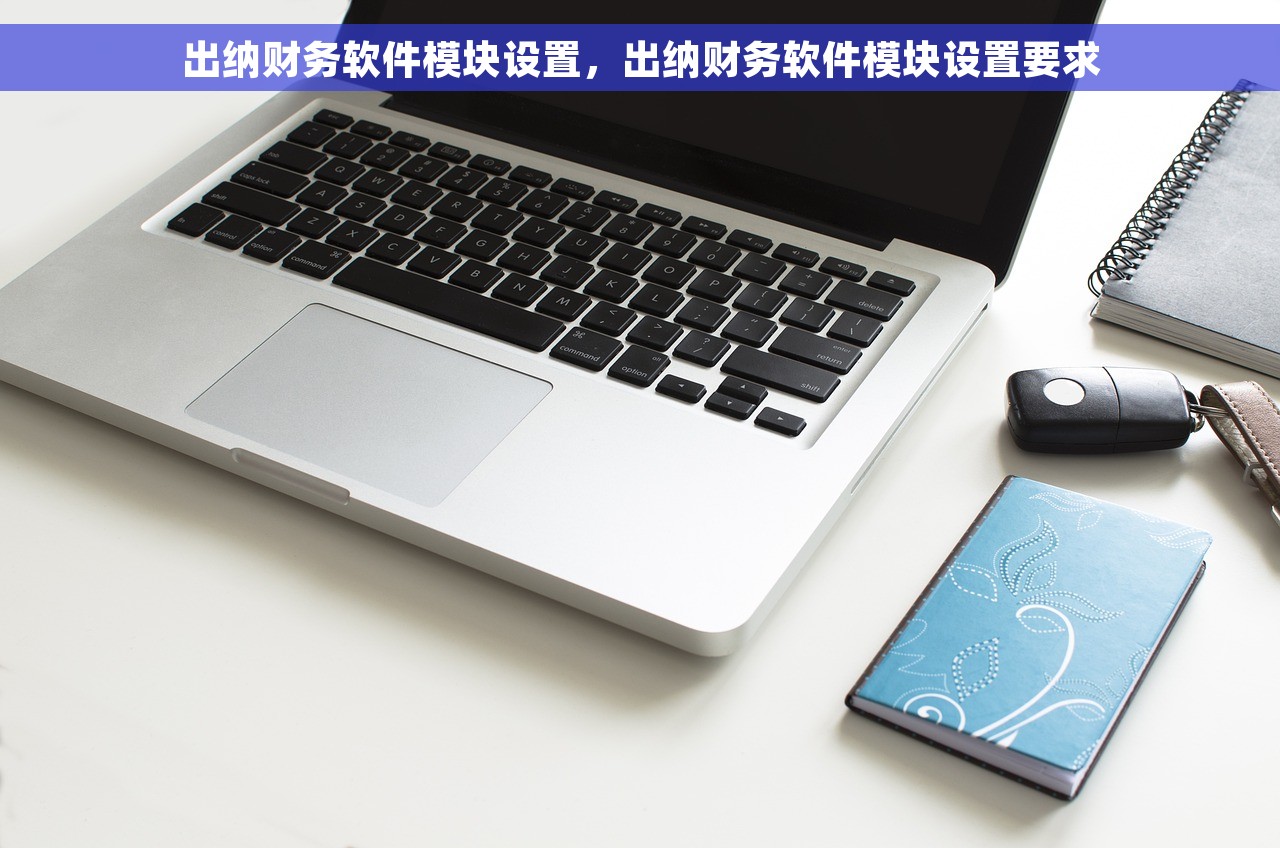 出纳财务软件模块设置，出纳财务软件模块设置要求