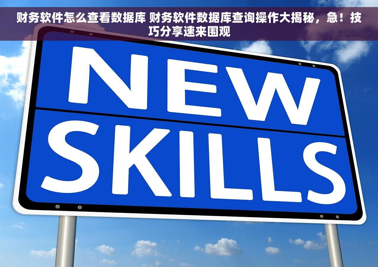 财务软件怎么查看数据库 财务软件数据库查询操作大揭秘，急！技巧分享速来围观