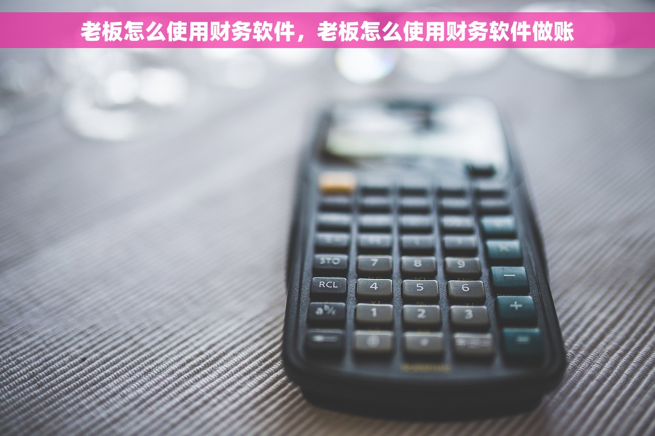老板怎么使用财务软件，老板怎么使用财务软件做账
