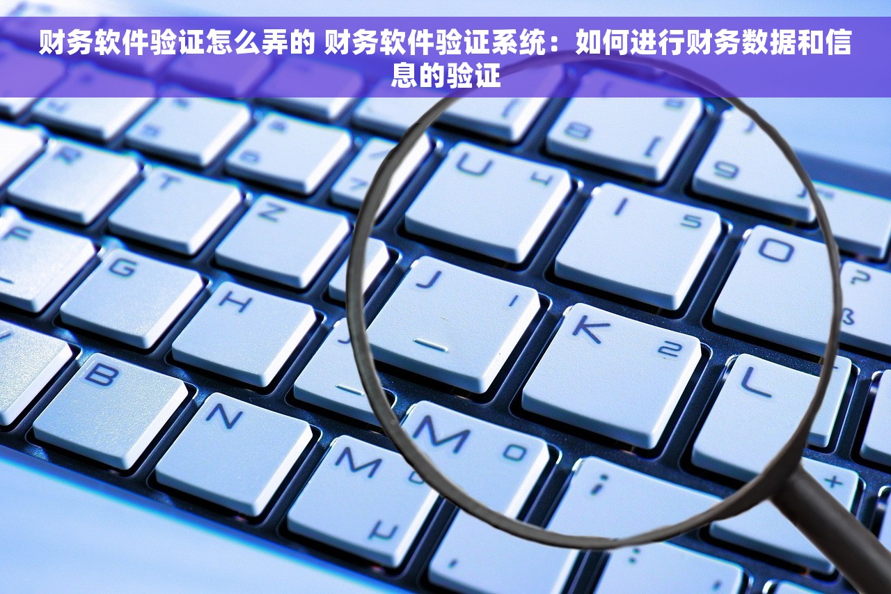 财务软件验证怎么弄的 财务软件验证系统：如何进行财务数据和信息的验证